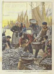 La fin de la misère en Bretagne, la pêche miraculeuse de sardines des jours passés